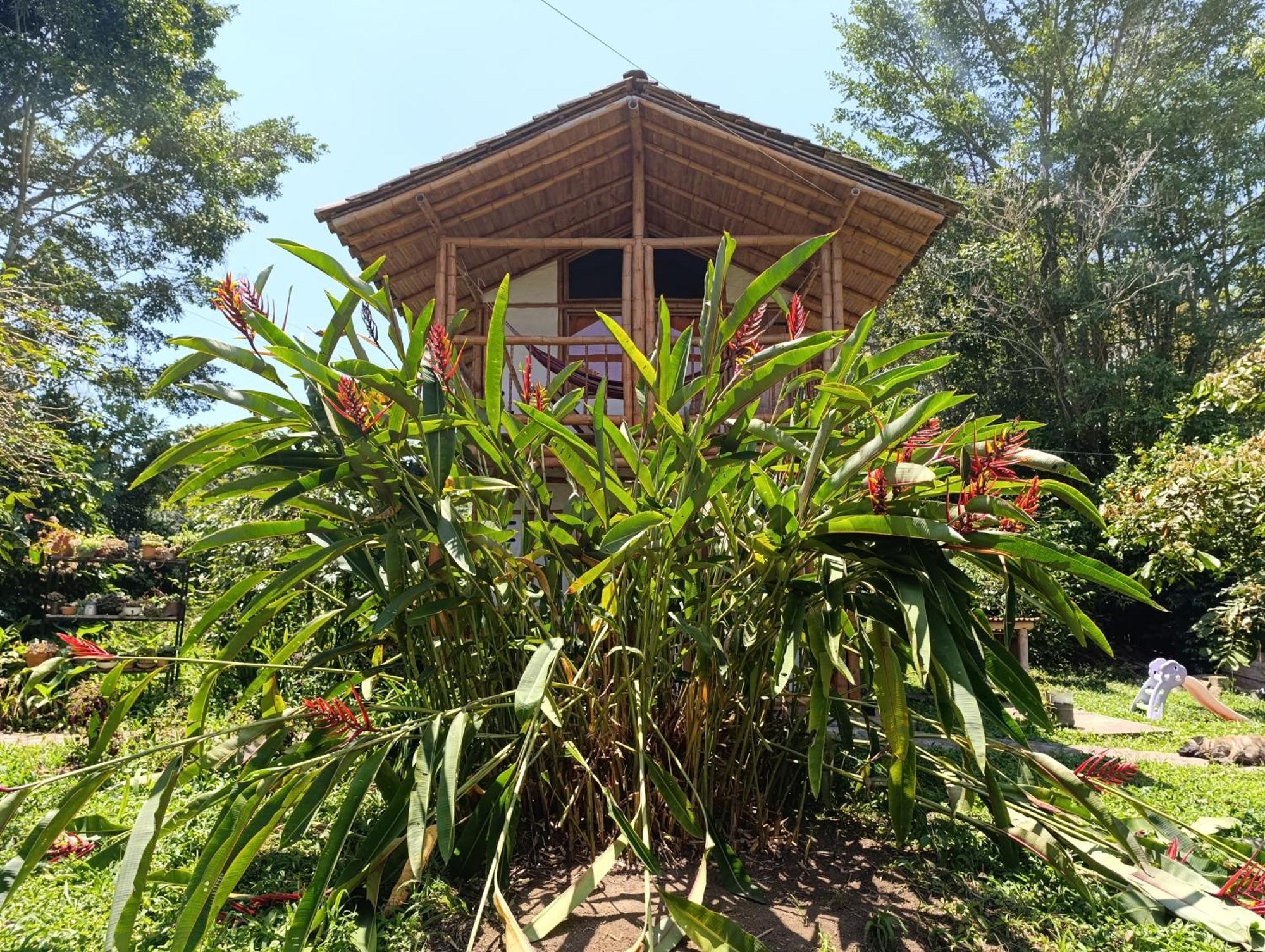 Casa Entera Finca Cometa San Agustín Exterior foto
