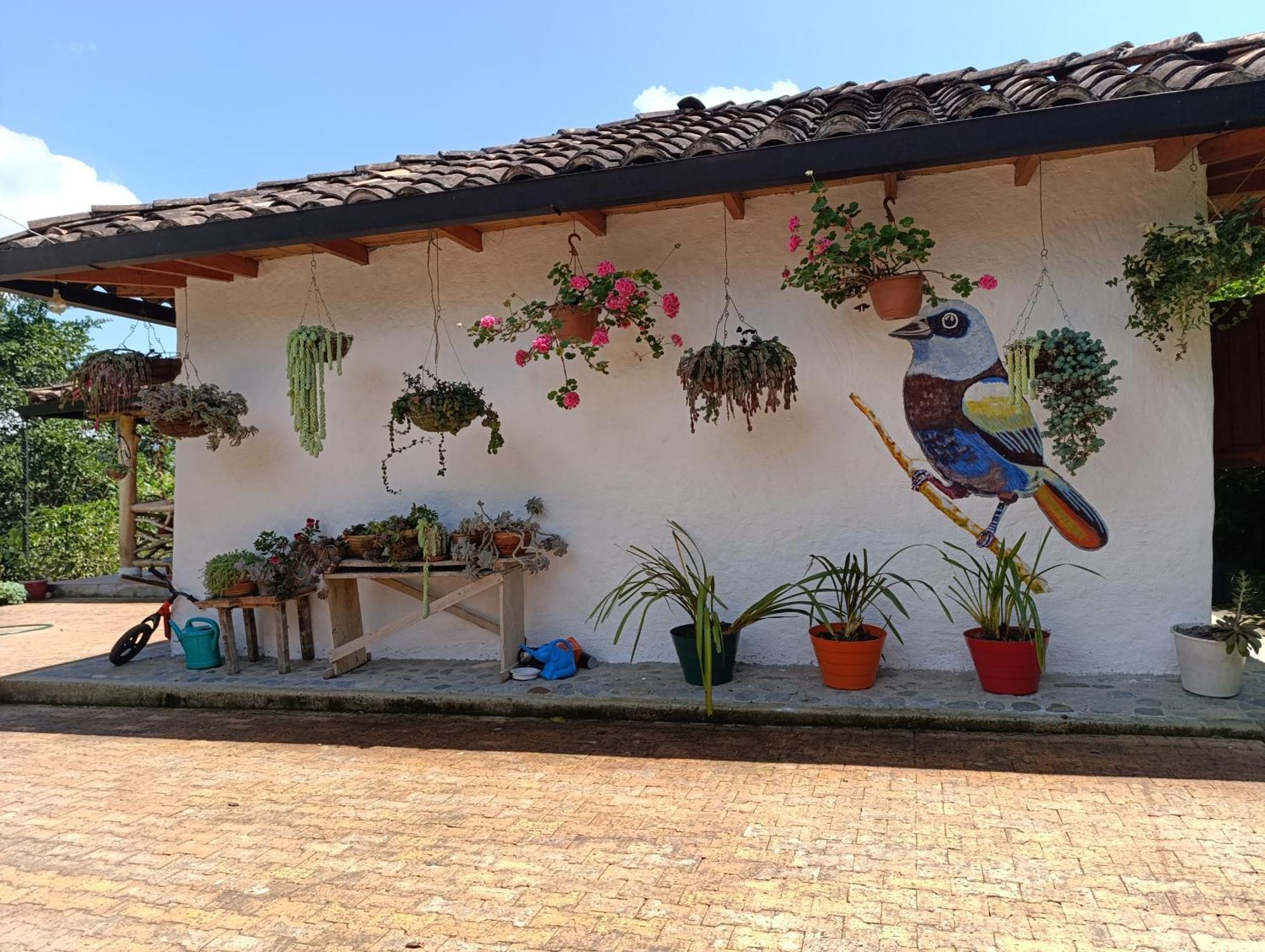 Casa Entera Finca Cometa San Agustín Exterior foto